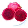 Dragon Fruit/Pitaya from Vietnam with EXPORT quality and GOOD PRICE