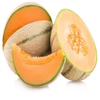 fresh musk melon,sweet honeydew melon,cantaloupe melon (musk