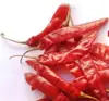 Red Chilli from India