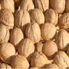 /product-detail/wholesale-cheap-price-wide-dried-walnuts-in-shell-walnuts-kernels-for-sale-dried-walnuts-50036927807.html