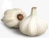 /product-detail/top-quality-wholesale-garlic-price-organic-garlic-from-viet-nam-50047099251.html