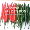 Fresh / Frozen / Red Chili / Green Chili / Ms Victoria +842835119589