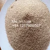 /product-detail/corn-cobs-animal-feed-842835119589-50038246161.html
