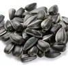 /product-detail/export-quality-sunflower-seed-from-brazil-top-exporter-62005806335.html
