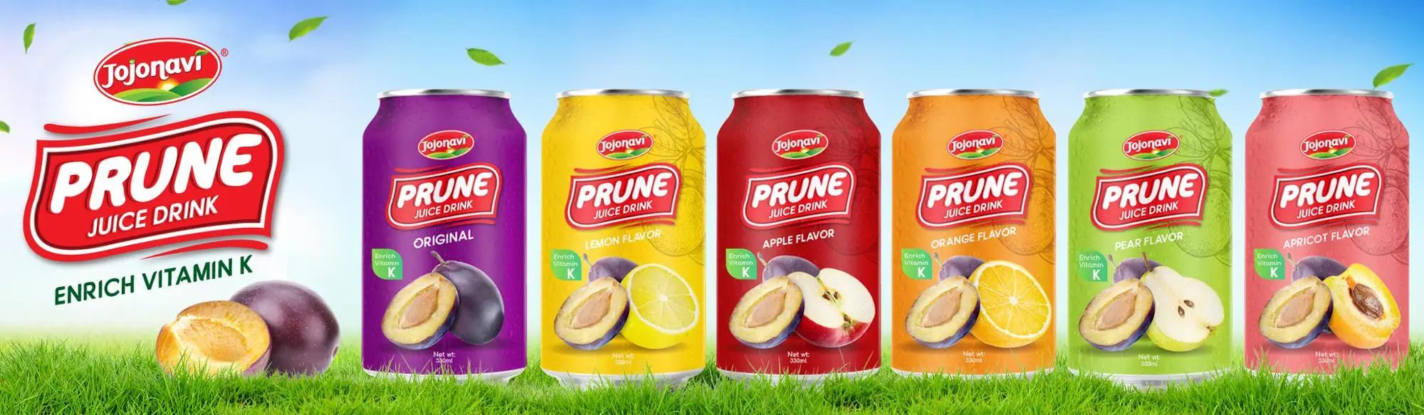 fruit juice manufacturer prunes juice in canned 330ml oem