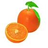 /product-detail/fresh-orange-fruit-yellow-for-exporting-oranges-62001994784.html
