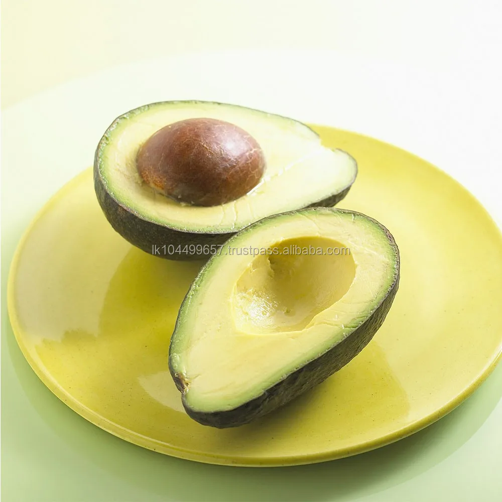 sri lanka best fresh organic avocado