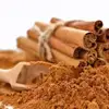 100% natural Cinnamon Extract Powder.
