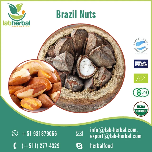 fresh brazil nuts