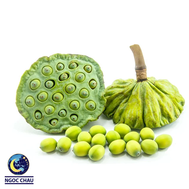 100% natural dried white lotus seeds/ lotus evora