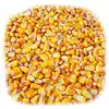 /product-detail/wholesale-yellow-corn-from-ukraine-50045877512.html