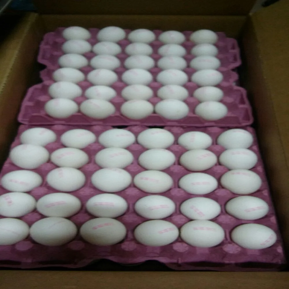FARM FRESH TABLE CHICKEN EGGS FROM TURKEY HALAL GRADE A FOR SALE