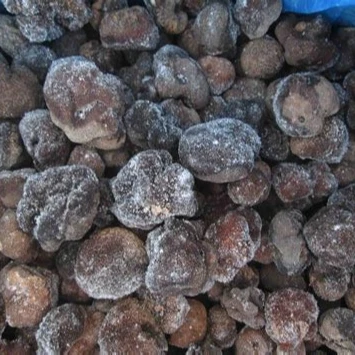 European best grade Truffles Mushroom for sale