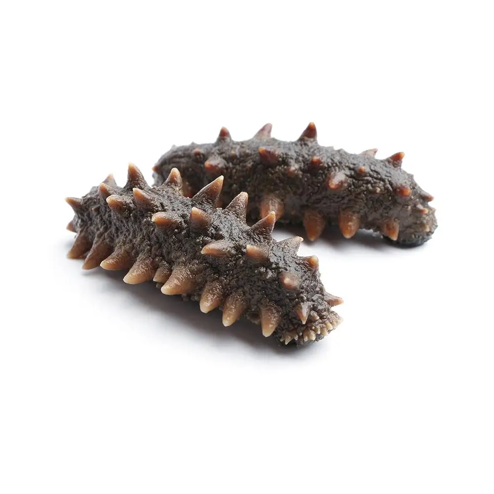 the most valuable high quality dried sea cucumber