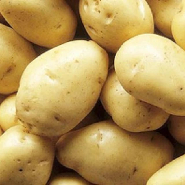 yellow skin potatoes