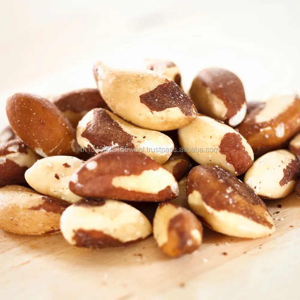 brazil nuts cashew nuts apricot betel nuts