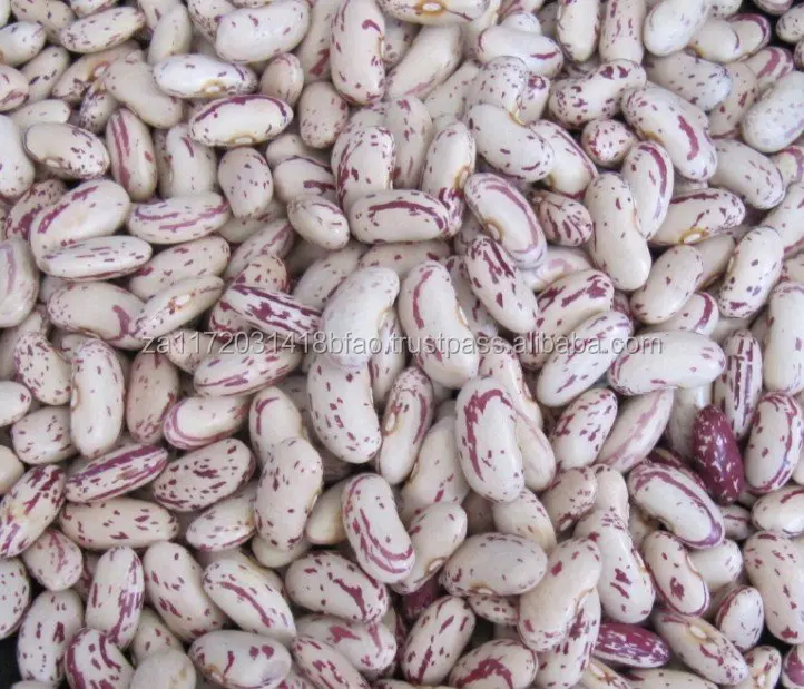 Red Kidney Beans Now Ready For Supply
