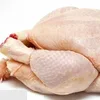 /product-detail/halal-frozen-whole-chicken-and-chicken-sawa-premium-supplier-62001944487.html