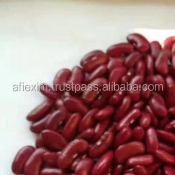 Long Shape Dark Red Kidney beans