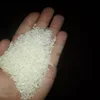 Japan Rice
