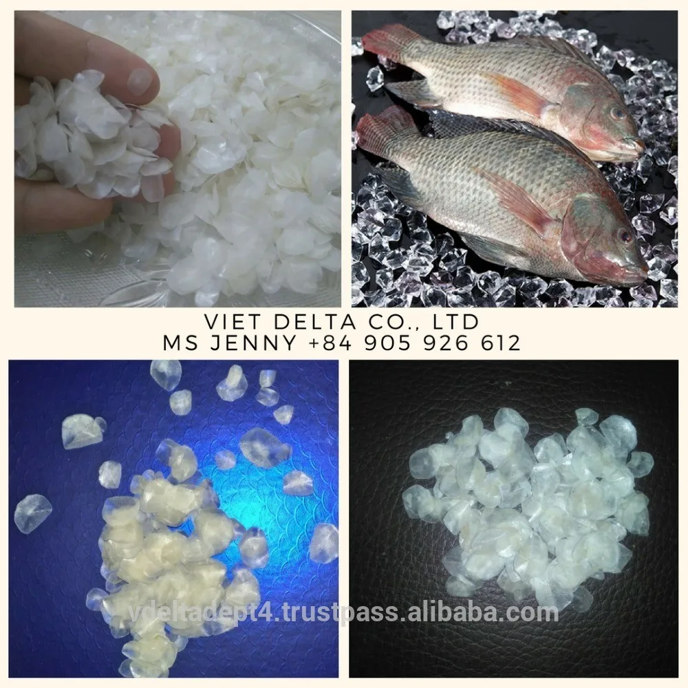 factory manufacturing dried fish scales export/ dried fish