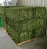 /product-detail/alfalfa-hay-variety-and-horse-use-high-quality-alfalfa-hay-for-sale-62008829798.html