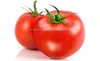/product-detail/fresh-tomato-and-tomato-paste-50035464262.html