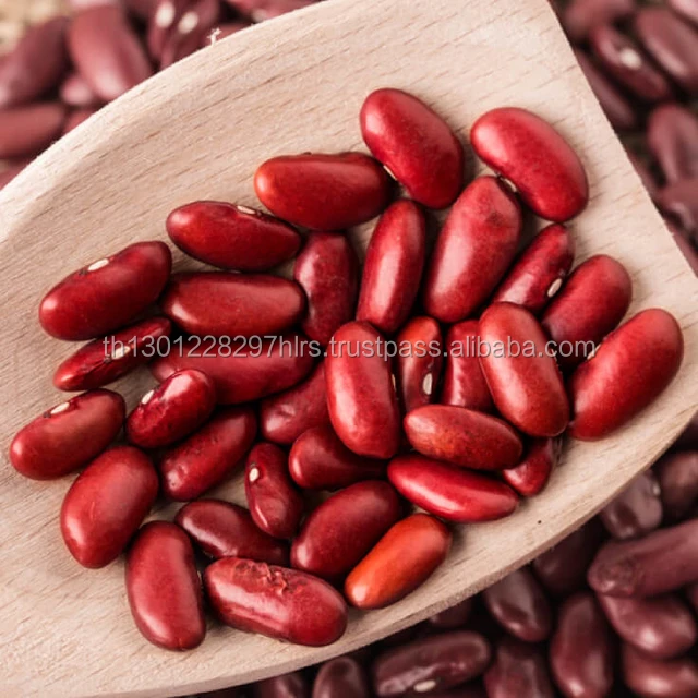 Polished Organic Non-GMO Dark Red Kidney Beans