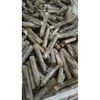 Interested Buyers Frozen Seafood Avail Razor clam Brand Name" AA " Craving taste from(AA seafoods)