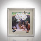 30x40cm 3d lenticular picture with frame in stock picture of cat