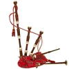 /product-detail/learning-bagpipe-62003084754.html