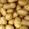 /product-detail/european-best-grade-fresh-holland-potato-50039118379.html