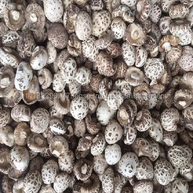 High quality dried mushrooms