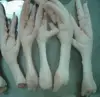/product-detail/thailand-frozen-chicken-paws-for-sale-50039897865.html