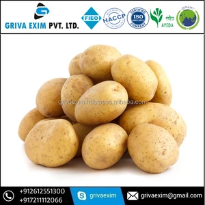 fresh potato from gujarat
