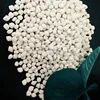 /product-detail/sop-and-mop-fertilizer-potassium-chloride-fertilizer-bulk-price-potash-fertilizers-for-sale-50034888635.html