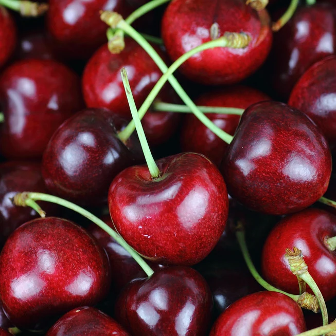 super fresh cherries fresh cherry fruit from south africa