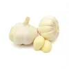 /product-detail/100-natural-fresh-white-garlic-for-sale-50044694328.html