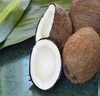 Fresh coco nuts - Semi Husked Mature coconuts for exports