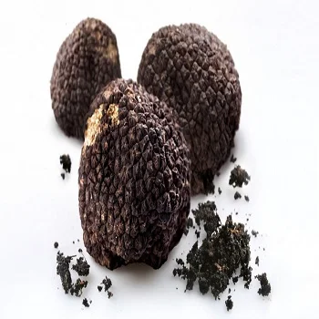 Truffles Mushroom / Fresh Black Truffles / Fresh White Truffles