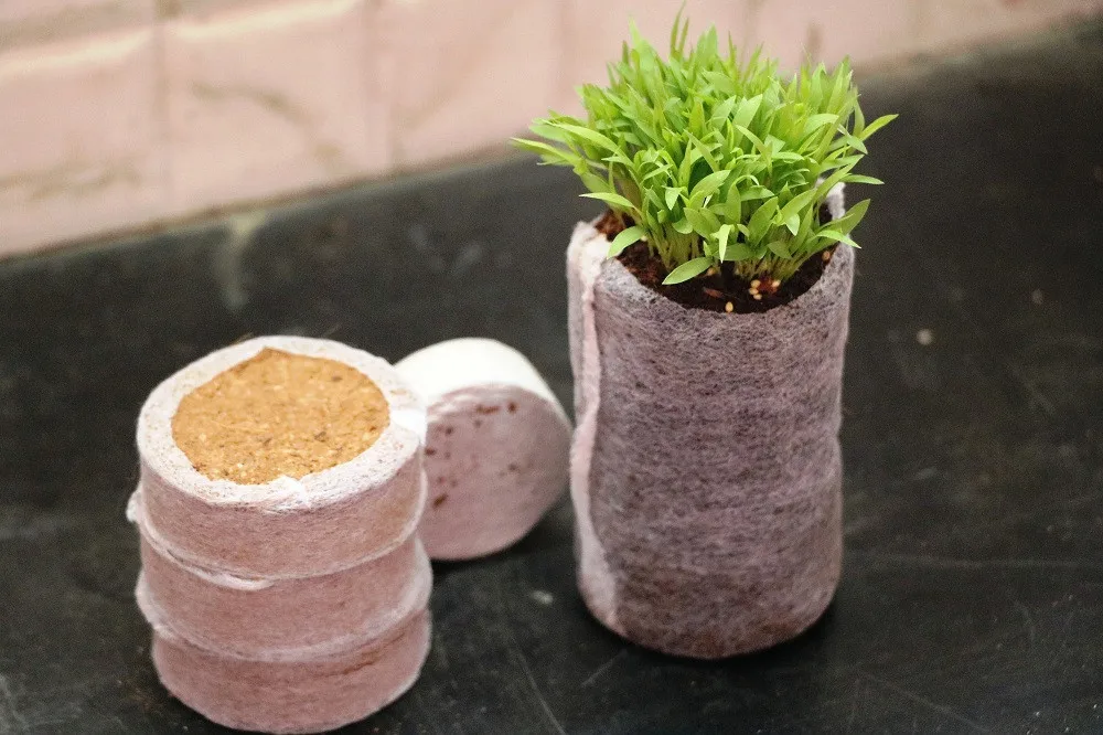 Coir Peat Organic Jiffy Plugs Exports / Coco Peat Pellet / Coco Discs