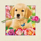 Most wanted products 3d animal pictures of cat from China (OA-053)