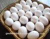 /product-detail/wholesale-bulk-farm-fresh-chicken-eggs-in-shell-supplier-at-cheap-price-50039064130.html