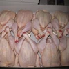 /product-detail/frozen-chicken-mdm-whole-frozen-chicken-suppliers-50045587462.html
