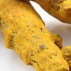 Best Quality Turmeric Finger Price for Sale