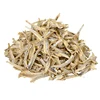 High Nutritive Dry Anchovy Fish/Dried Anchovy