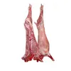 /product-detail/frozen-fresh-halal-lamb-meat-producer-frenched-rack-cap-on-8-ribs--50039221344.html