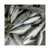 Wholesale Seafood Frozen Pacific Mackerel Fish