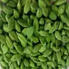 Organic Green Cardamom for Importers