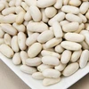 Black Kidney Beans High quality grade red kidney and sugar beans good price White kidney beans fr sale
